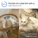 Image for article titled Google's New 'Pet Portraits' Feature Helped Me Find my Cat's Historical Doppelganger